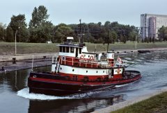 Thumbnail Image for Michael D. Misner