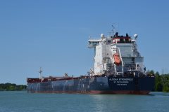 Thumbnail Image for Algoma Strongfield