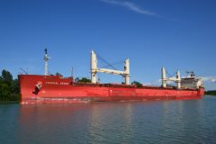 Thumbnail Image for Federal Cedar