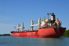 Thumbnail Image for Federal Cedar