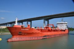 Thumbnail Image for Algoterra oncontextmenu=