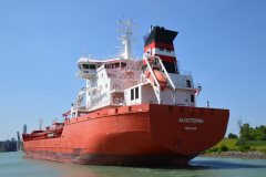 Thumbnail Image for Algoterra oncontextmenu=