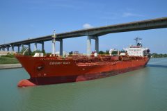 Thumbnail Image for Ebony Ray