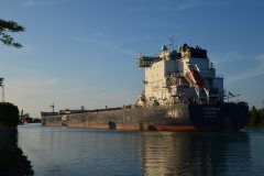 Thumbnail Image for G3 Marquis