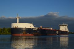 Thumbnail Image for G3 Marquis