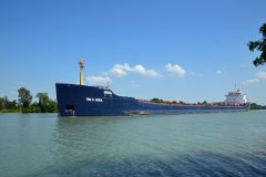 Thumbnail Image for Tim S. Dool