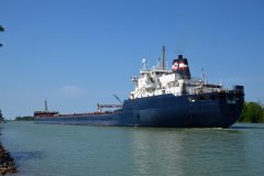 Thumbnail Image for Tim S. Dool