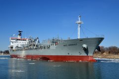 Thumbnail Image for NACC Argonaut