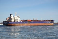 Thumbnail Image for Hafnia Daisy oncontextmenu=