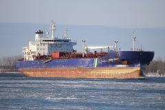 Thumbnail Image for Hafnia Daisy oncontextmenu=