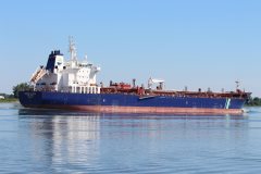 Thumbnail Image for Hafnia Malacca oncontextmenu=