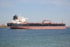 Thumbnail Image for Haigui