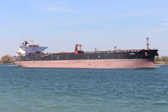 Thumbnail Image for Haigui