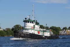 Thumbnail Image for William C Gaynor oncontextmenu=