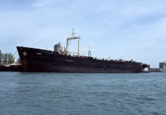 Thumbnail Image for Scurry