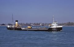 Thumbnail Image for Manzzutti