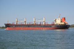 Thumbnail Image for ID Pioneer