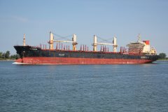 Thumbnail Image for ID Pioneer