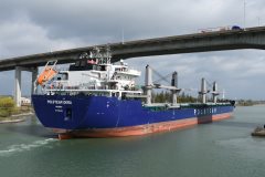 Thumbnail Image for Polsteam Okra