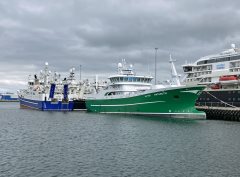 Thumbnail Image for Antarctic