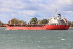 Thumbnail Image for Jutlandia Swan oncontextmenu=