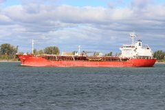 Thumbnail Image for Jutlandia Swan oncontextmenu=