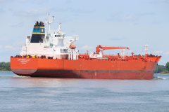 Thumbnail Image for Katherine Lady