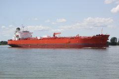 Thumbnail Image for Katherine Lady