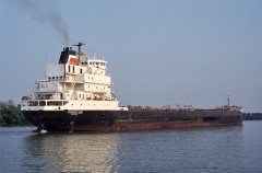 Thumbnail Image for Pineglen