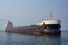 Thumbnail Image for Pineglen