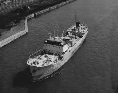 Thumbnail Image for Robert Koch