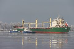 Thumbnail Image for Maccoa