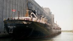 Thumbnail Image for Frankcliffe Hall