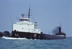 Thumbnail Image for Otto M. Reiss