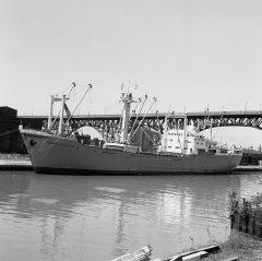 Thumbnail Image for Prins Maurits