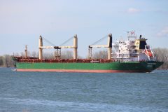 Thumbnail Image for Mandarin