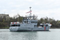 Thumbnail Image for FS Fulmar