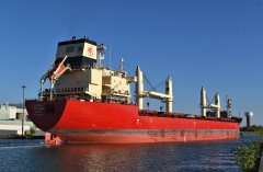 Thumbnail Image for Federal Lexi Rose