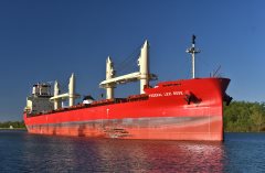 Thumbnail Image for Federal Lexi Rose