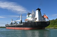 Thumbnail Image for Kathy McKeil