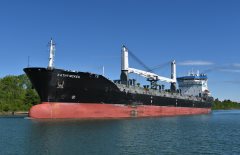 Thumbnail Image for Kathy McKeil