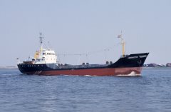 Thumbnail Image for Hornisse