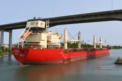 Thumbnail Image for Federal William Paul