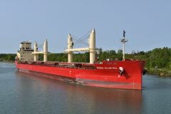 Thumbnail Image for Federal William Paul