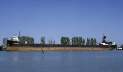 Thumbnail Image for A.E. Nettleton