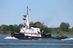 Thumbnail Image for Meredith Ashton