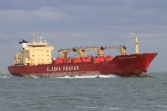 Thumbnail Image for Peruvian Reefer