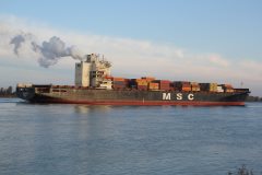 Thumbnail Image for MSC Bhavya v