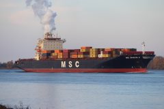 Thumbnail Image for MSC Bhavya v