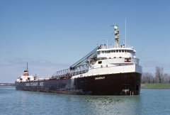 Thumbnail Image for Saguenay